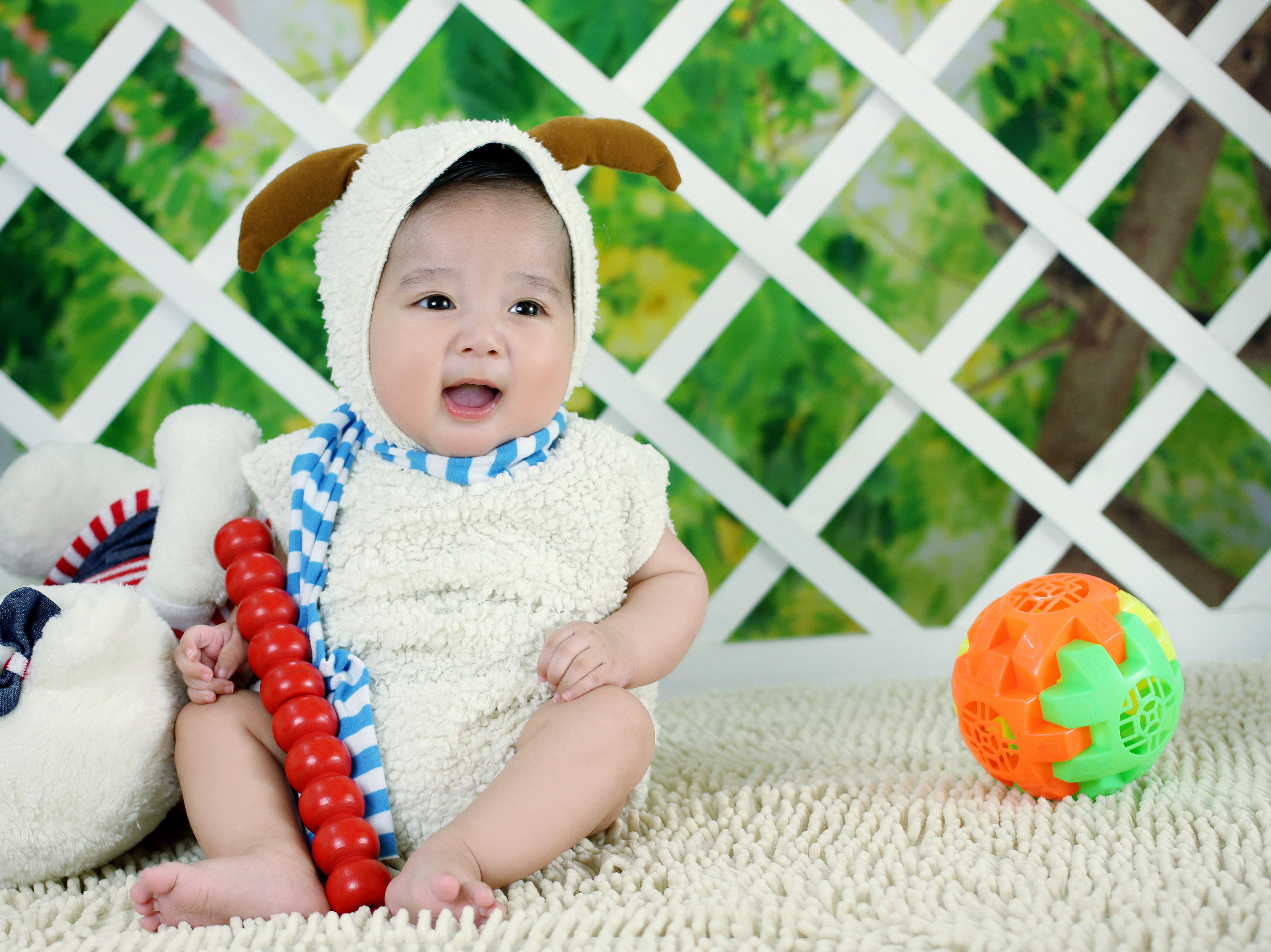 和田捐卵网泰国试管婴儿捐卵政策
